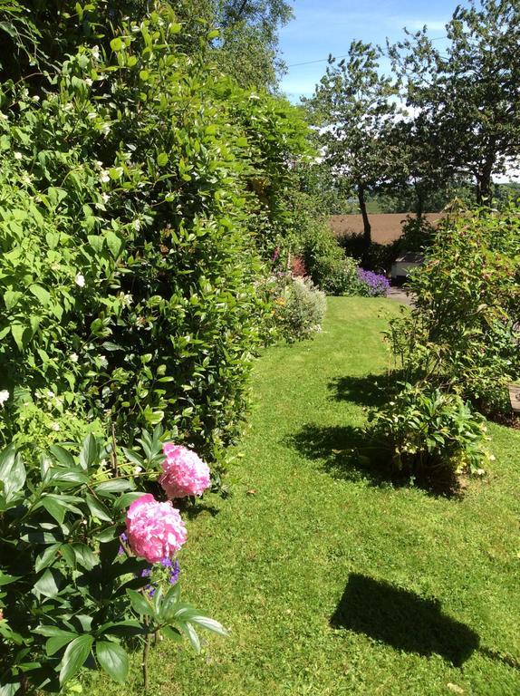 Bed and Breakfast Dewhamill Bellaghy Esterno foto