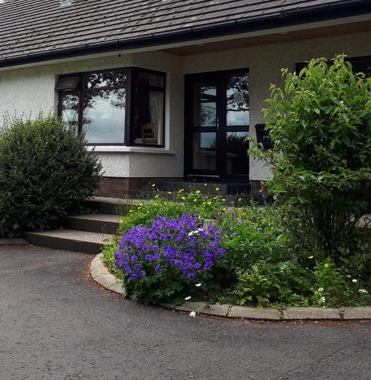 Bed and Breakfast Dewhamill Bellaghy Esterno foto